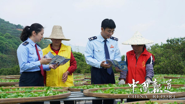 潮安税务：“春风”进茶田 税惠入万家