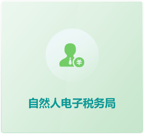 自然人电子税务局