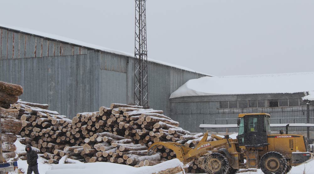 俄罗斯龙跃林业经贸合作区