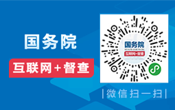 2019国务院互联网+督查