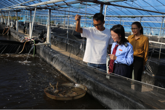 羊城派：“两虾一马”游出新天地！惠来特色水产赋能乡村振兴