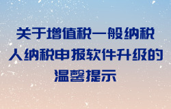 关于增值税一般纳税人纳税申报软件升级的温馨提示