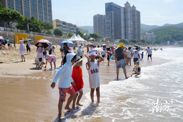 合规经营促发展！南澳“税力量”助力海岛文旅热度攀升