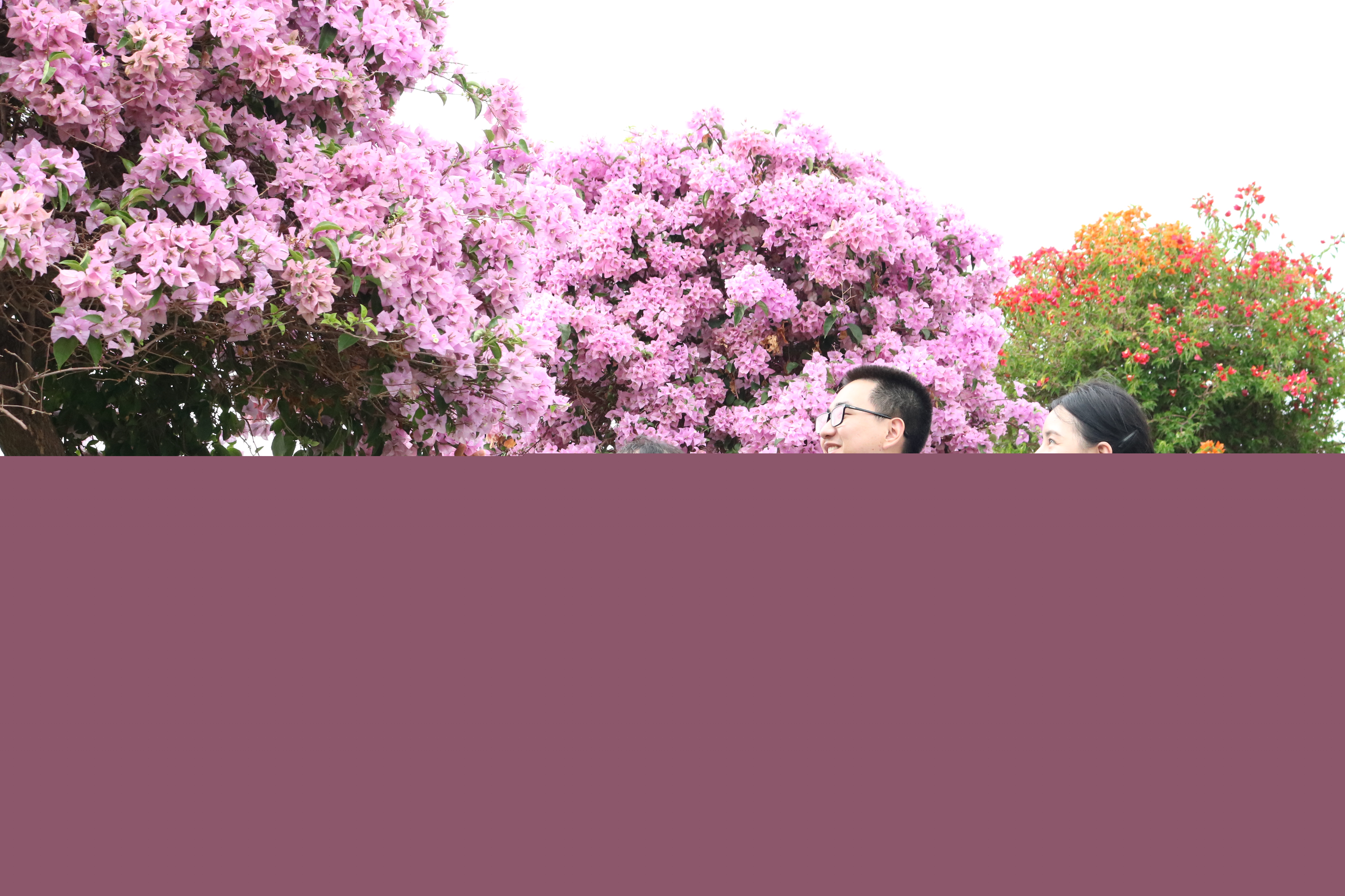 中山税惠精准服务新场景，激发两节消费动能